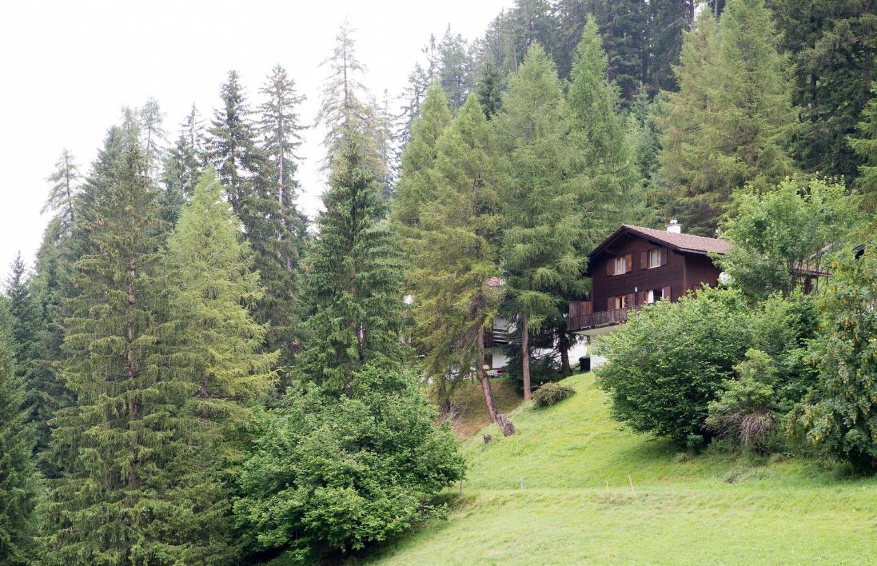 5 Room House Joch Churwalden- Lenzerheide 외부 사진